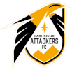 Kaohsiung Attackers